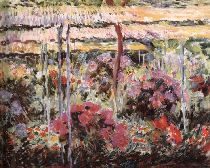 Claude Monet Peonies Spain oil painting art